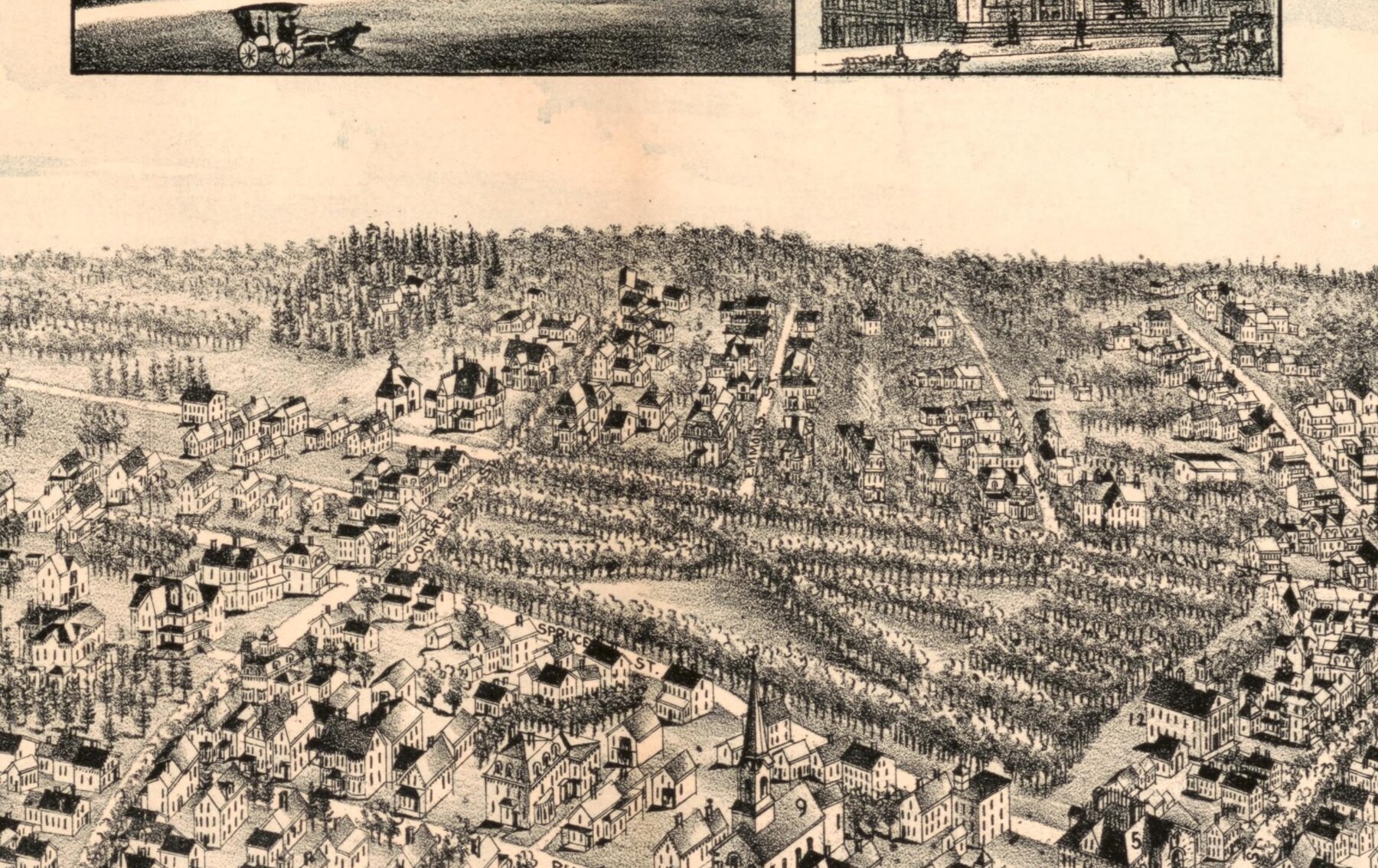 Detail of the 1888 bird's-eye view of Milford: the Town Park and the houses on Congress Street
