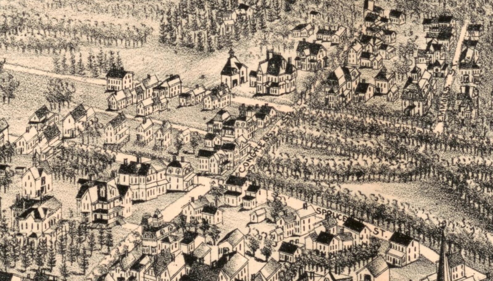 Detail of the 1888 bird's-eye view: the west side of Congress Street